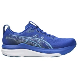 Asics Gel-Kayano 33